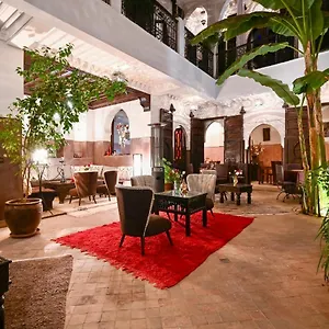 Aya Riad