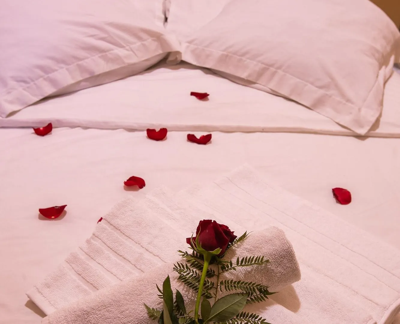 Hotel Toulousain Marrakesh 3*,